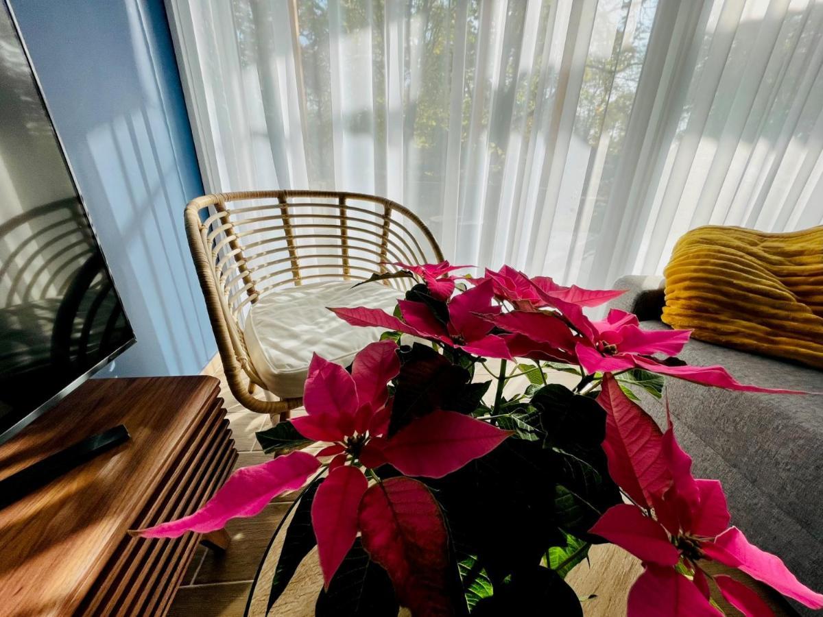 Aranygesztenye Apartmanhaz 벌러토누드버리 외부 사진